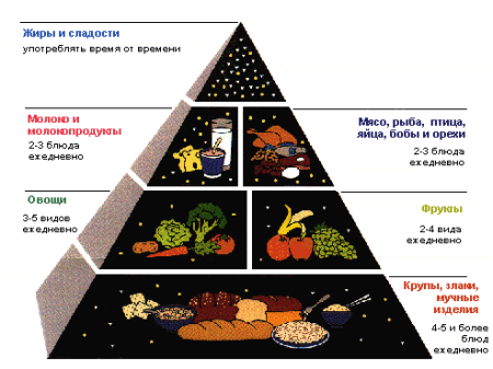 Программы коррекции веса